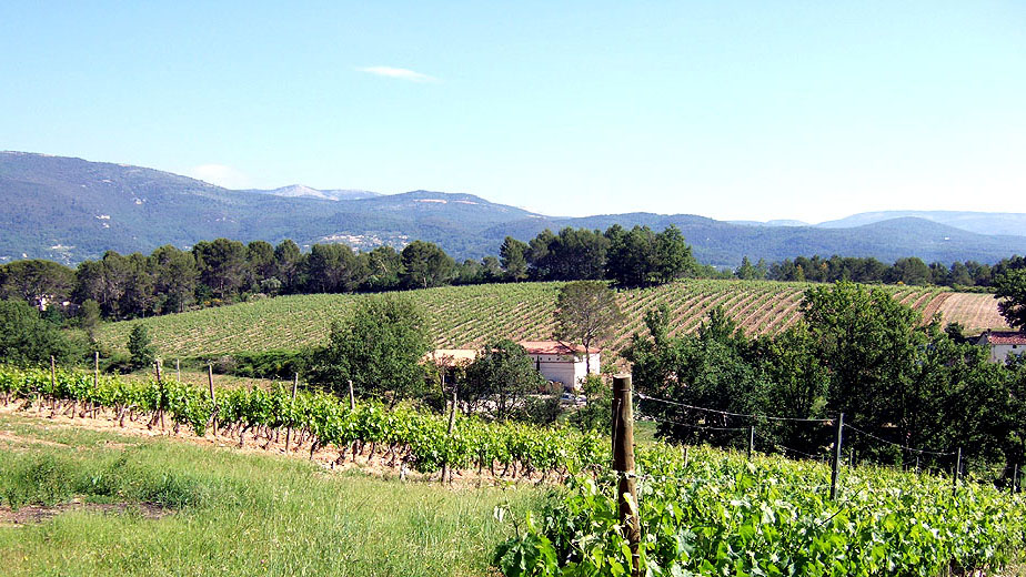 domaine-viticulture-diapo5